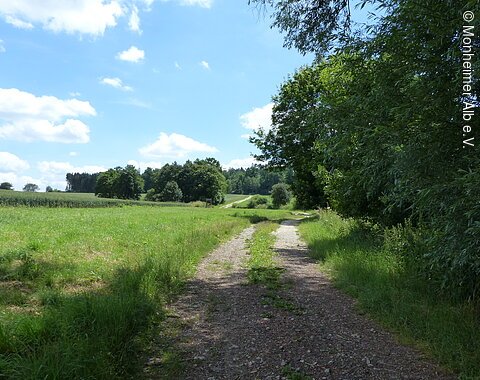 Dolinenlehrpfad - Geologie erleben