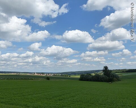 Dolinenlehrpfad - Blick auf die Doline - im Hintergrund Tagmersheim