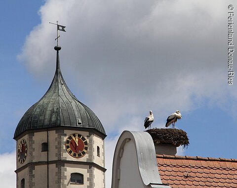Storchennest auf der St. Jakobskirche in Oettingen