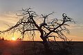 Sonnenuntergang am Mähhorn