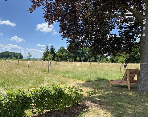 Botanischer Obstlehrgarten Donau-Ries