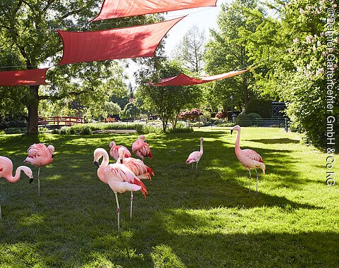 im Dehner Blumenpark