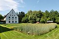 Museumsgarten im Sommer 2022