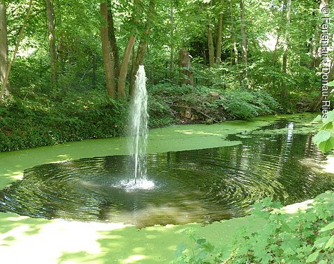 beim Residenzschloss Oettingen