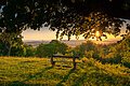 Ein Ruheplatz mit Blick auf die Stadt Nördlingen