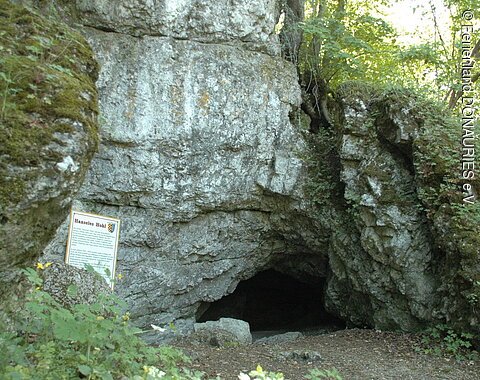 Der Eingang zur Hanseles Hohl am Michelsberg bei Fronhofen mit davor stehender Infotafel.