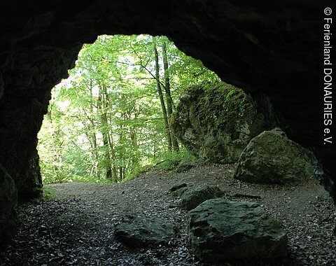 Blick vom Inneren der Hanseles Hohl auf den Wald.