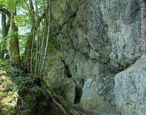 Der Weg zum Zugang zur Hanseles Hohl.