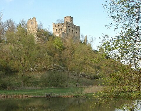 Blick auf die auf dem grünen Hügel liegende Ruine Niederhaus. Davor ein kleiner Weiher.