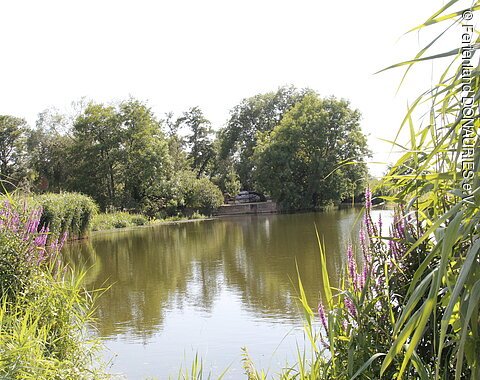 Blick auf die Wörnitz mit der Fürfällmühle.