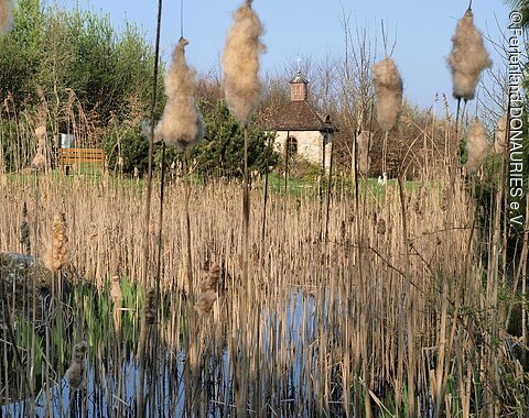 Park beim Heidebrünnl bei Kaisheim Blick durch das Schilf im Waldlehrpark beim Heidebrünnl.