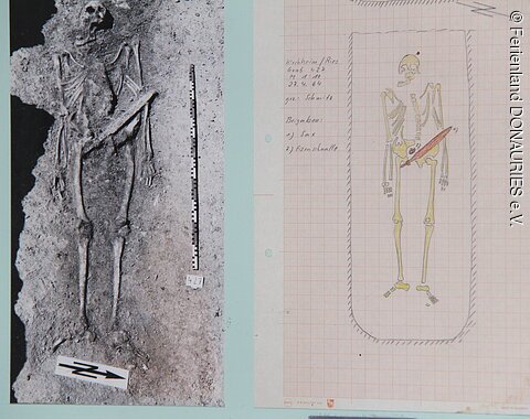 Rekonstruktion Alamanenfriedhof Kirchheim am Ries: Foto eines Skeletts (links) bei der Ausgrabung mit handgezeichneter Skizze des Fundes (rechts).