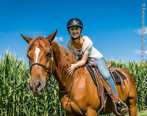 Reiterin mit Pferd am Maisfeld.