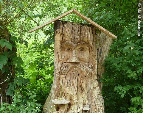 Ein, aus einem Baumstamm herausgeschnitztes, Gesicht.