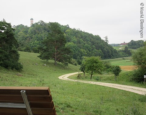 Eine Panoramaliege am Baumlehrpfad mit Blick auf den bewaldeten Michelsberg und dem oben aus den Baumspitzen herausschauenden Kirchturm.