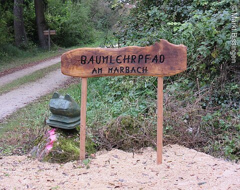 Hölzernes Hinweisschild des Baumlehrpfads. Links daneben sitzt ein aus Holz geschnitzter, grüner Frosch auf einem Stein.