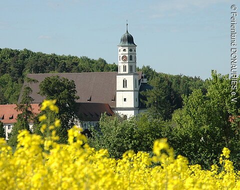 Blick auf die Klosterkirche Maihingen mit davor liegendem, blühendem Rapsfeld