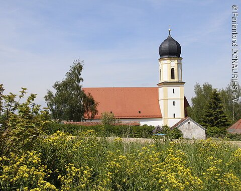 Blick auf die Pfarrkirche St. Martin mit ihrem Zwiebelturm. Im Vordergrund eine blühende Wiese.