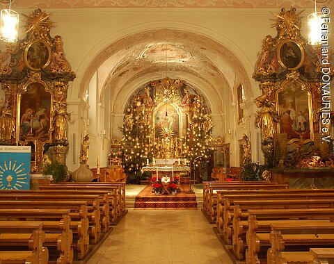 Blick in die Pfarrkirche St. Martin zur Weihnachtszeit. Der Hauptaltar ist von zwei geschmückten Weihnachtsbäumen eingerahmt. Links und rechts im Bild sieht man die beiden Seitenaltäre.