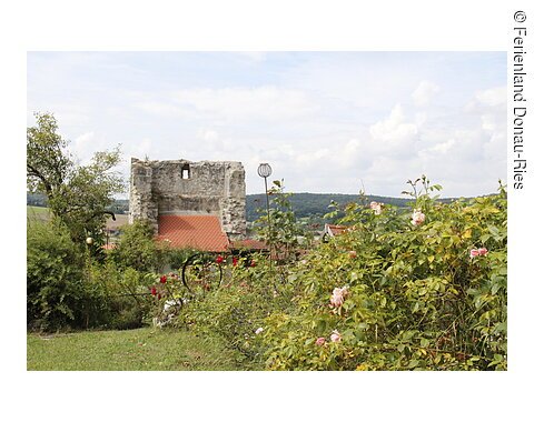Garten der Ruine Graisbach