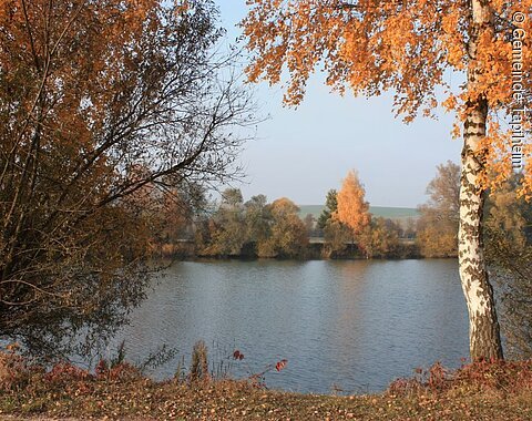 Tapfheimer Seen Blick im Herbst auf einen See. Die Bäume im Vordergrund und auf der gegenüberliegenden Seeseite sind bunt gefärbt.