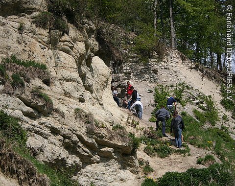 Geologisch Interessierte im Steinbruch Alte Bürg