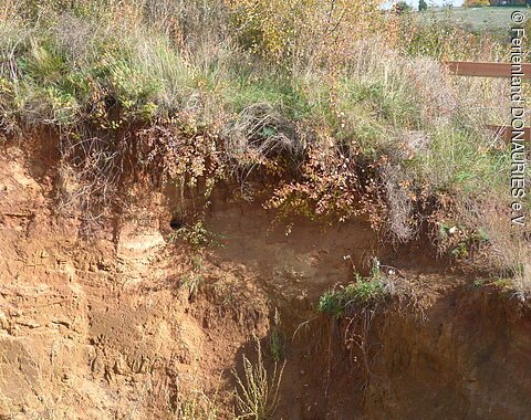 Eine Sandgrube im Geotop