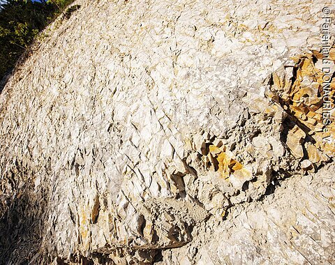 Detailaufnahme von Gestein im Geotop Kalvarienberg