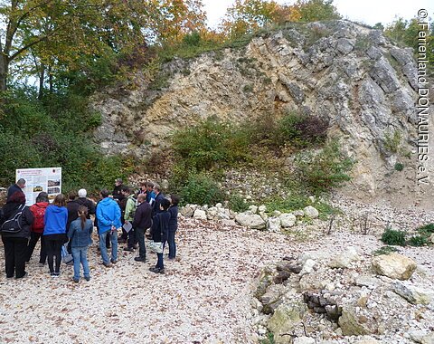 Führung im Steinbruch Führungsteilnehmer an einer Infotafel im Geotop