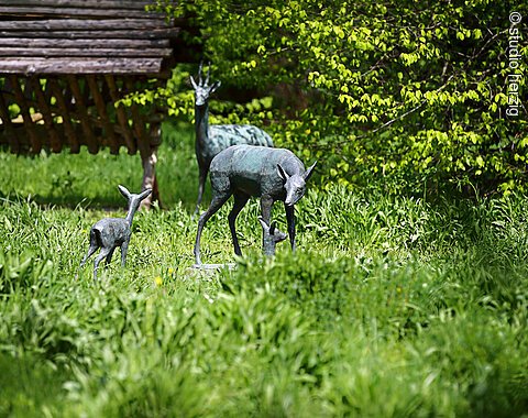 Wiese mit Rehefamilie aus Bronze im Naturlehrgarten Rain