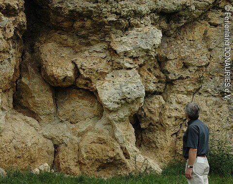 Ein Besucher bestaunt die Gesteinswände im Geotop