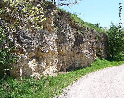 Blick auf das Gestein am Bürschel in Hainsfarth