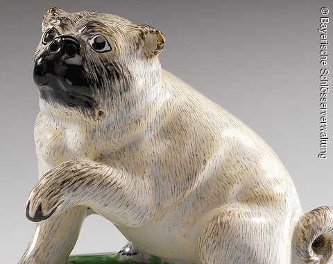 Ein Mops, der in der Fayencenausstellung im Schloss Höchstädt ausgestellt ist