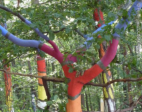 Bäume in Regenbogenfarben im Kunstwald in Mönchsdeggingen