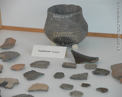 Scherben und ein Kugelbecher die im Goldbergmuseum ausgestellt sind