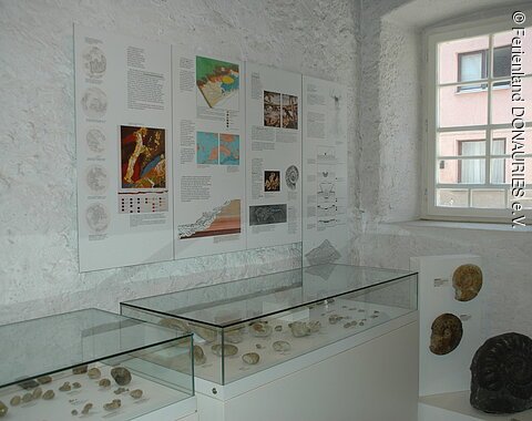 Blick auf Vitrinen mit archäologischen Ausstellungsstücken