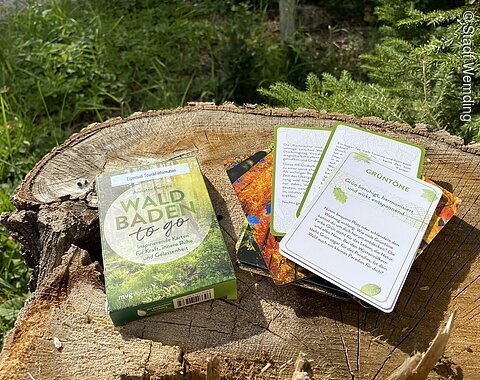 Waldbaden in Wemding Eine Schachtel mit Anleitungen zum Waldbaden liegt auf einem Baumstumpf.