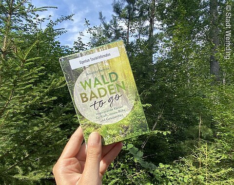 Waldbaden in Wemding Eine Hand hält eine Schachtel mit Anleitung zum Waldbaden in die Luft