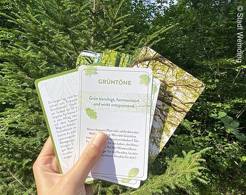 Waldbaden in Wemding Eine Hand hält ein Kartenset zum Waldbaden in den Wald.