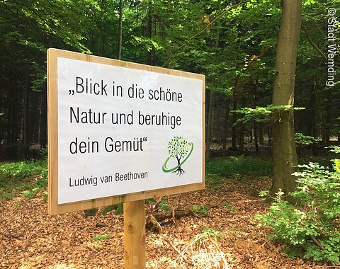 Ein Schild mit einem Spruch steht im Wald.