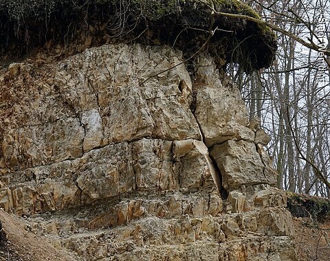 Steinbruch Der Kalksteinbruch im Herbst