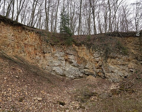 Steinbruch Der Kalksteinbruch vom Gehweg aus