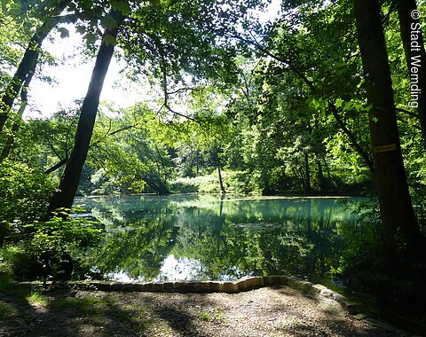 Der idyllische Dossweiher