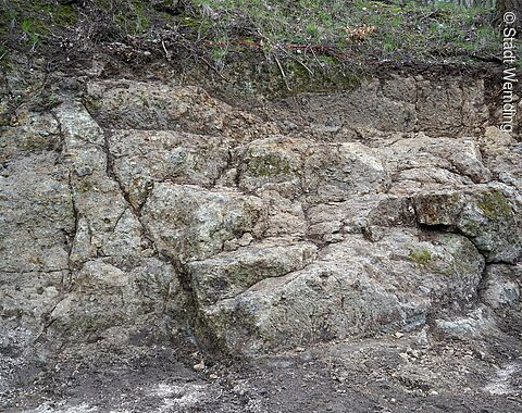 Der Suevitsteinbruch im schatten