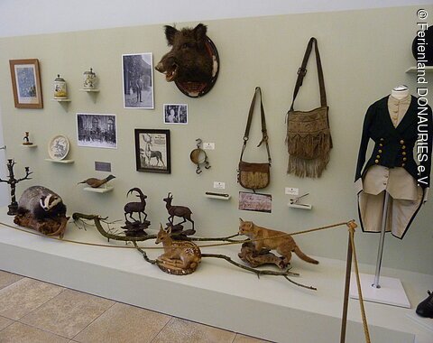 Blick auf Jagdtrophäen wie z. B einen ausgestopften Wildschweinkopf, einen Fuchs oder ein Rehkitz. An der Wand hängen zudem verschiedene Taschen und Bilder.