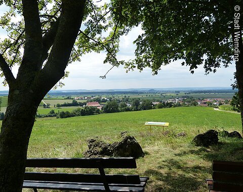 Der Aussichtspunkt vom Wald aus