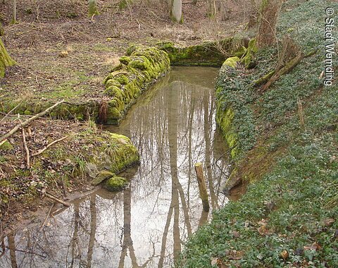Der Doosweiher im Herbst
