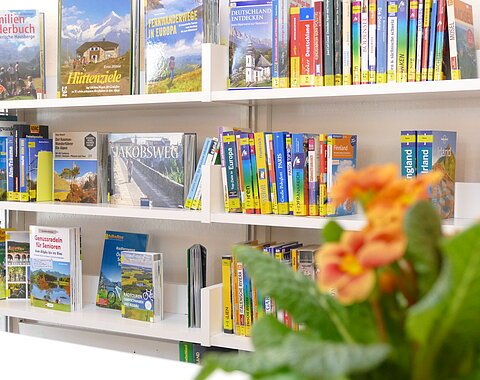 Bücherregal der Wemdinger Bücherei