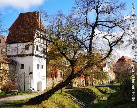 Donauwörth - Altstadtinsel Ried mit Färbertörl