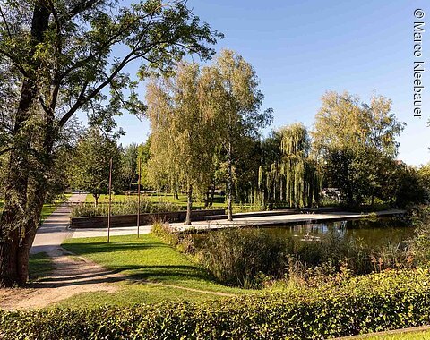 Blick auf den Stadtpark in Rain mit seinen Bäumen.
